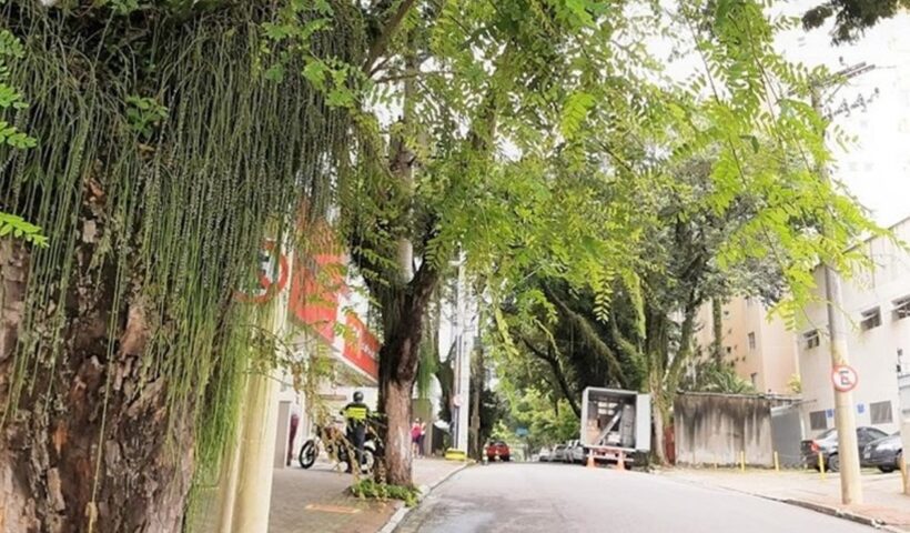 SJC: Homem é preso ao retornar ao local que invadiu no dia anterior