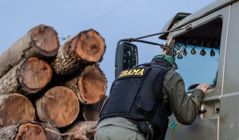 Servidores do Ibama prometem suspender fiscalização ambiental