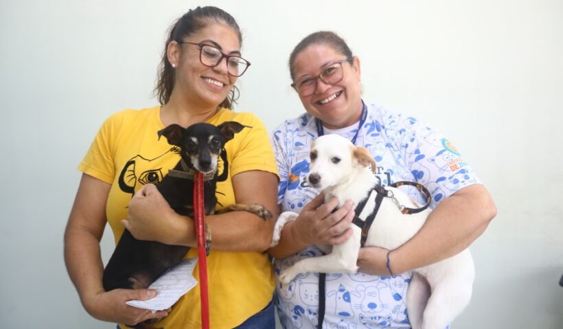 Sábado tem feira de adoção de pets e vacinação antirrábica