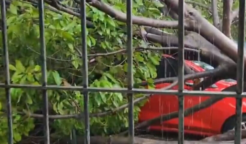 Chuva forte causa estragos em São José dos Campos
