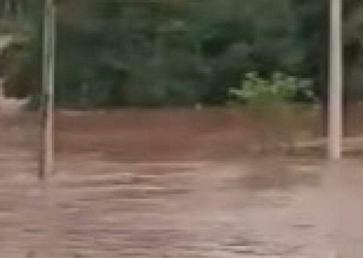 70 casas são atingidas por cheia no Rio Buquira em São José dos Campos