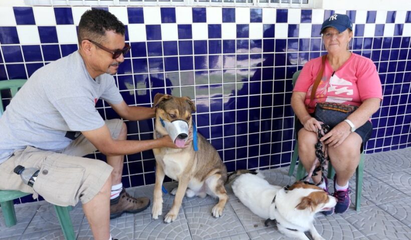 SJC: Parque Nova Esperança recebe castramóvel domingo