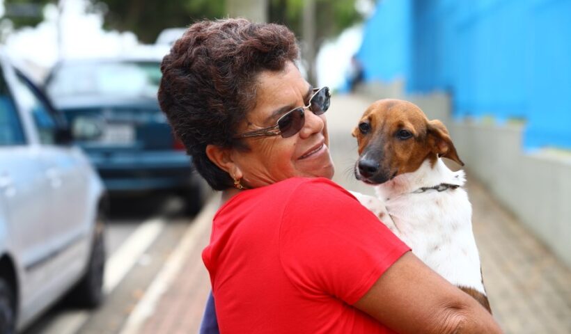 Meu Pet Feliz oferece mais 1.000 vagas para castração