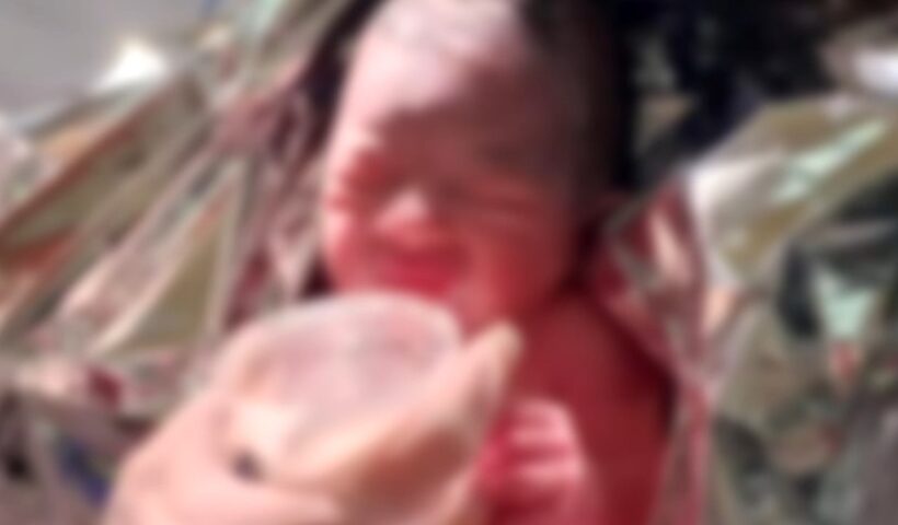 Recém-nascida é encontrada em caixa de papelão na rua em SJC