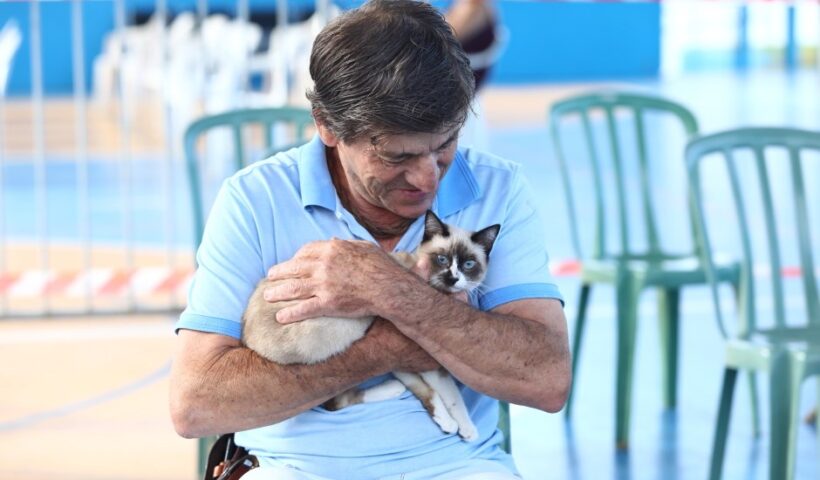 Meu Pet Feliz tem 1.000 vagas para castração e microchipagem