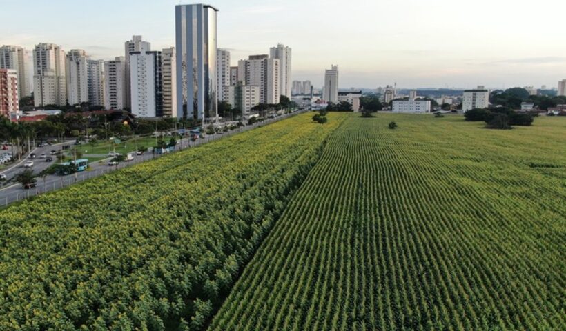 Projeto para a criação de um bairro no 'Terreno das Vaquinhas', em São José, entra na fase de registro