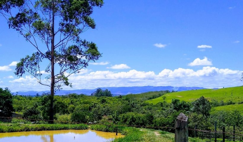 Defesa Civil de SP divulga alerta de calor intenso no Vale do Paraíba