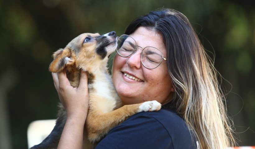 CCZ realiza primeira Feira de Adoção de pets de 2025