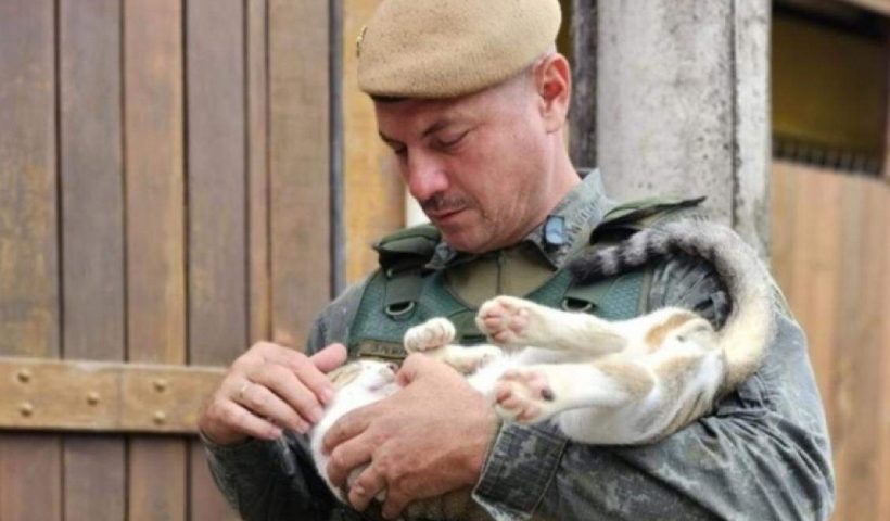 Homem é preso por maus tratos a gato em Ilhabela