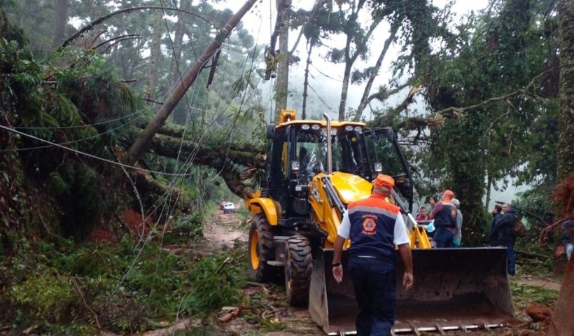 Campos do Jordão registra mais de 30 quedas de árvores após tempestade