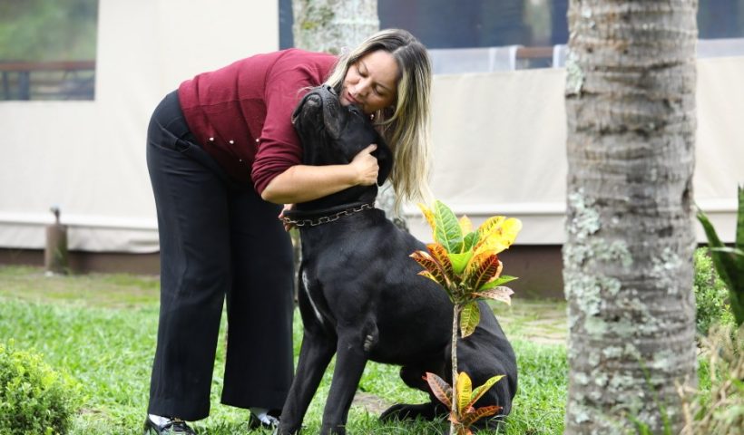 São José abre mil vagas para castração e microchipagem gratuita de pets