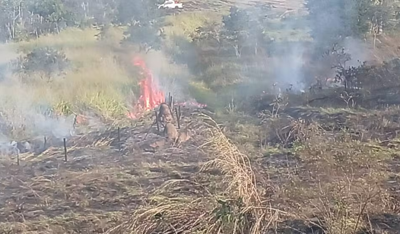 Incêndio consome 50 mil m² no Parque Itaim, em Taubaté