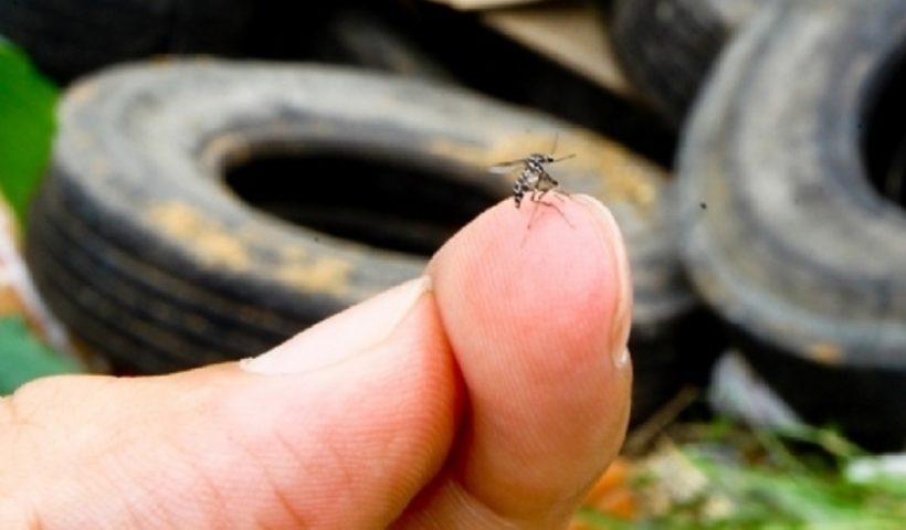 Pindamonhangaba registra primeira morte por dengue em 2025; Vale chega a 20 óbitos