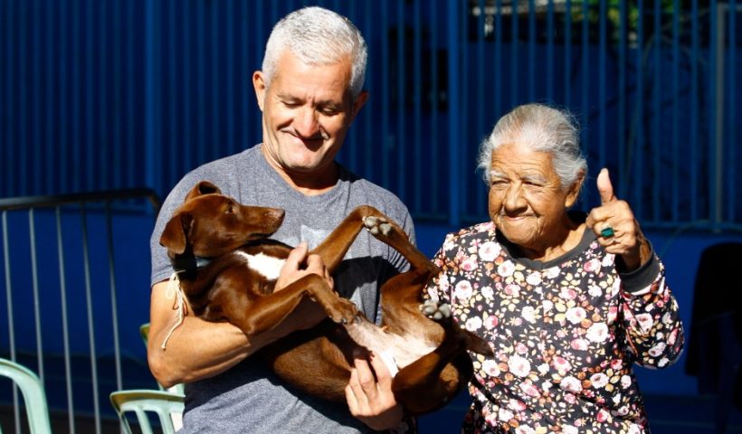 Castramóvel atende Pinheirinho dos Palmares neste domingo