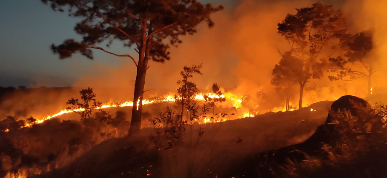 Incêndio consome área de mata de 80 mil m² do Parque do Itaim, em Taubaté