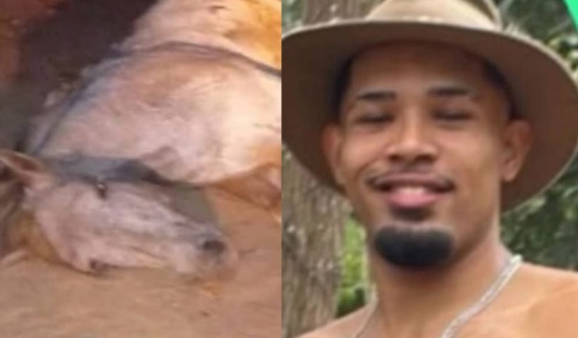 Homem que cortou patas de um cavalo vai responder em liberdade