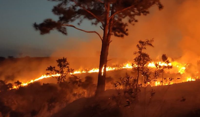 Incêndio consome área de mata de 80 mil m² do Parque do Itaim, em Taubaté