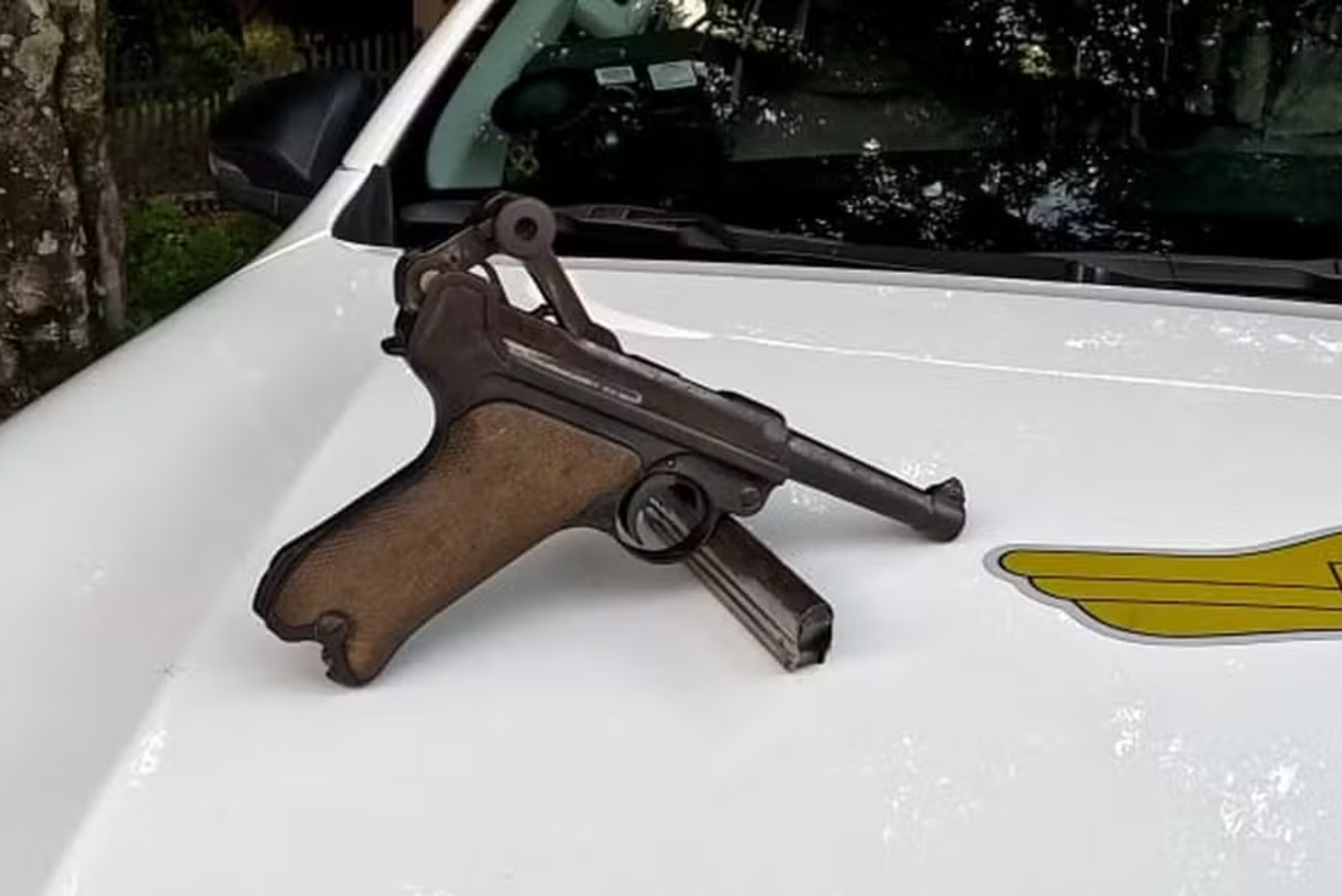Justiça concede liberdade a homem preso com arma de símbolo nazista em Taubaté