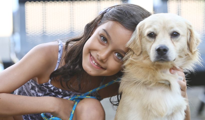 Primeira feira de adoção de pets do ano une famílias e animais em SJC