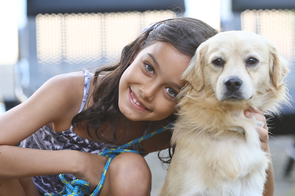 Primeira feira de adoção de pets do ano une famílias e animais em SJC