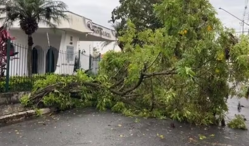 Temporal com granizo causa alagamentos e queda de árvores em Caçapava