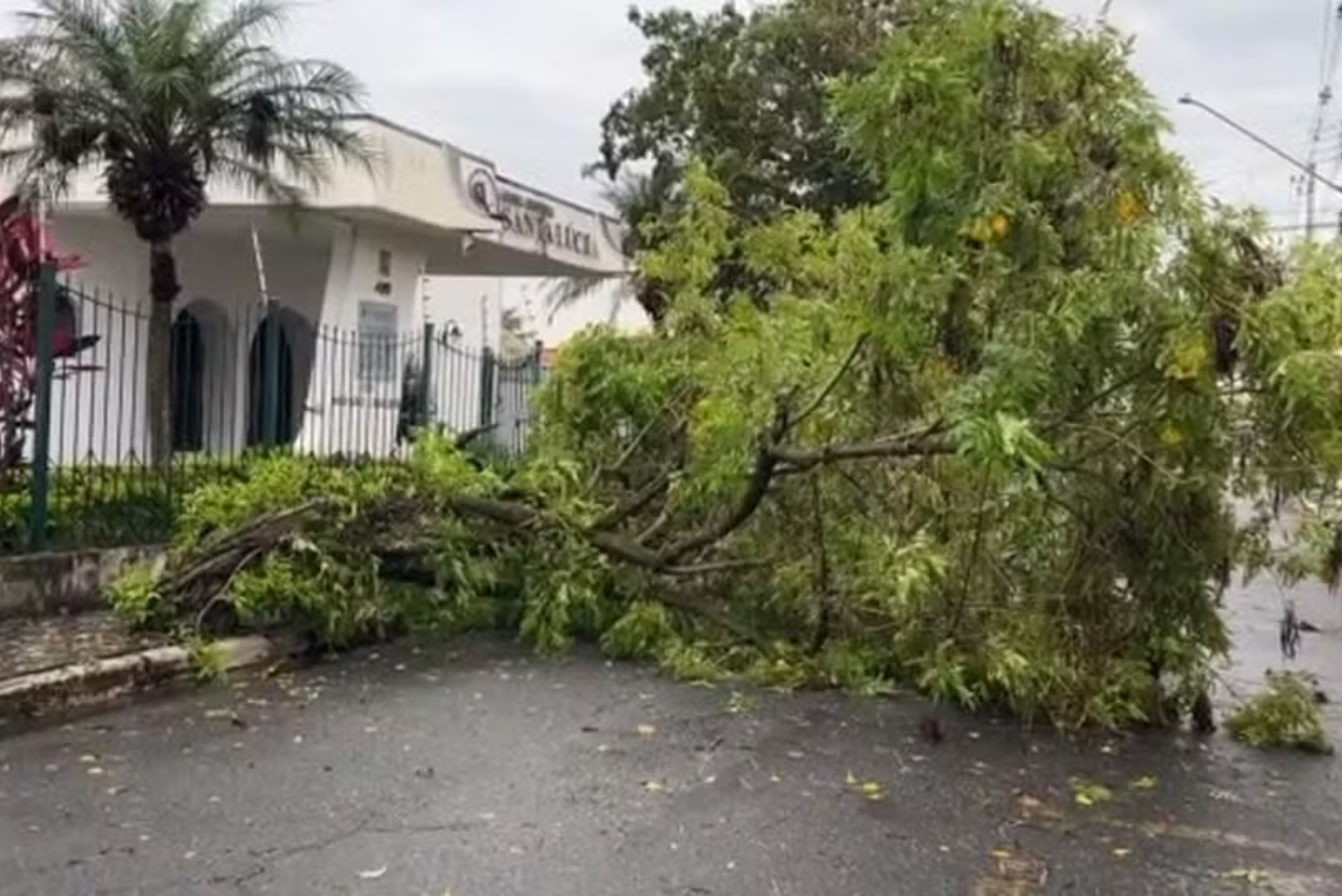 Temporal com granizo causa alagamentos e queda de árvores em Caçapava
