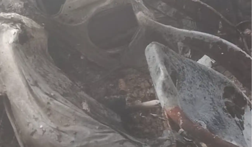 Polícia Civil de São José dos Campos investiga corpo encontrado carbonizado dentro de veículo