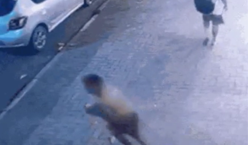 "Tartaruga" foge algemado de delegacia em São José dos Campos; polícia faz buscas