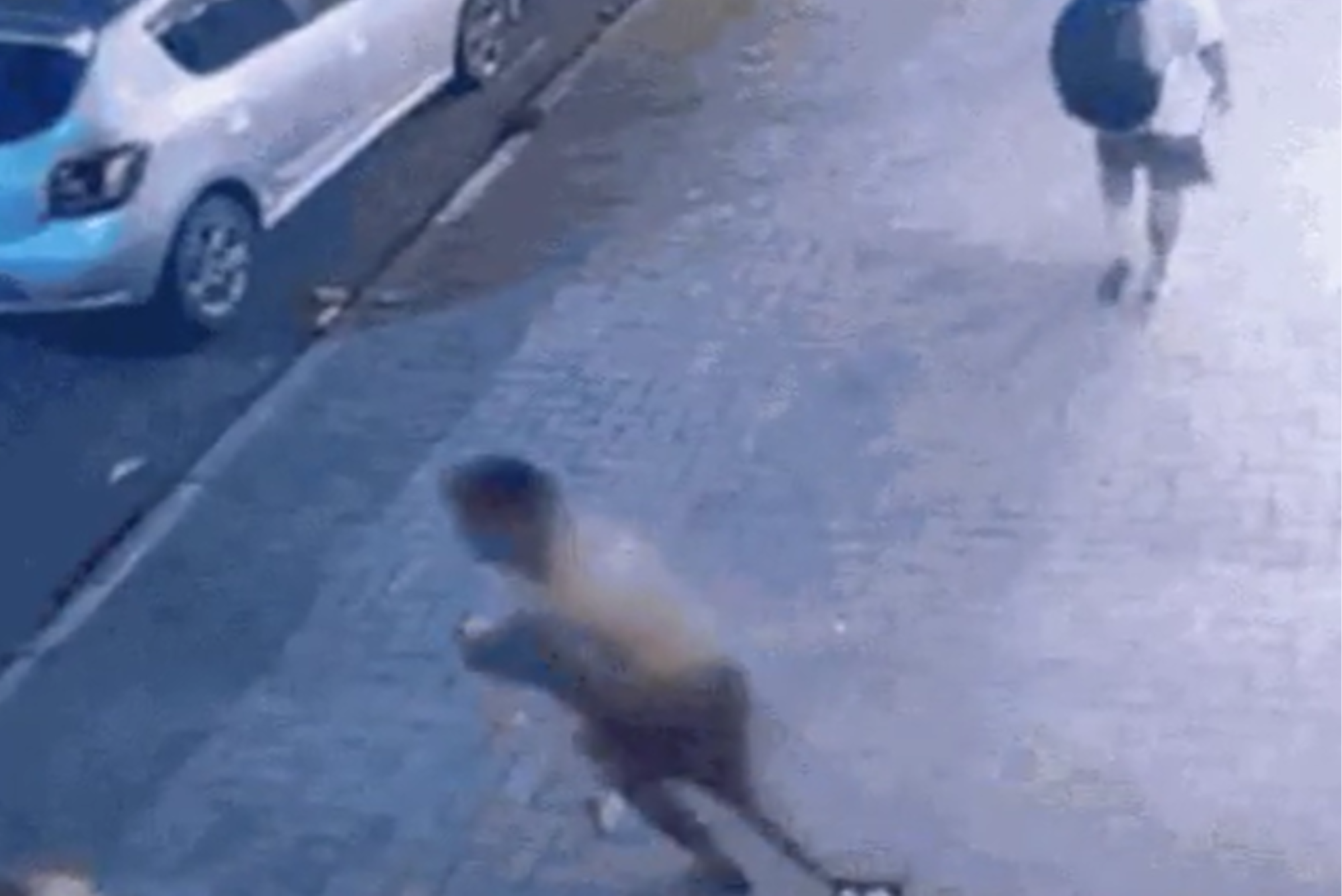 "Tartaruga" foge algemado de delegacia em São José dos Campos; polícia faz buscas
