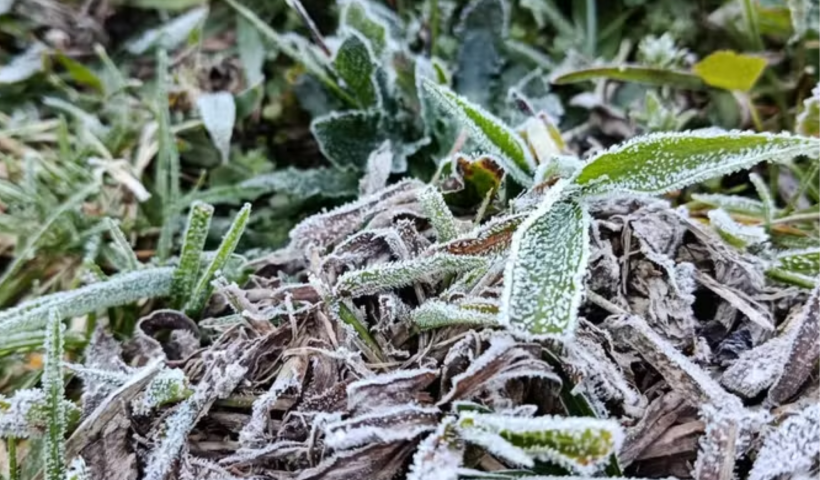 Campos do Jordão atinge 2,1°C e registra primeira geada do ano