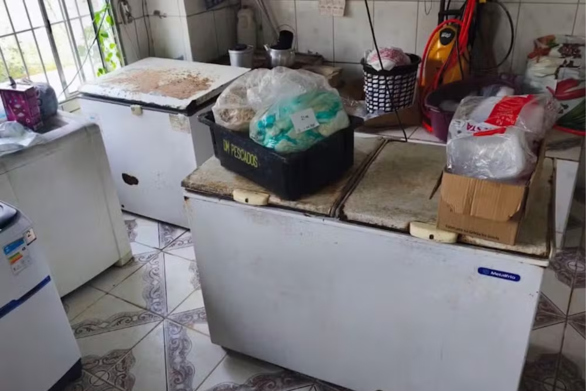 Polícia Ambiental fecha matadouro clandestino e apreende 700 kg de carne em Jacareí
