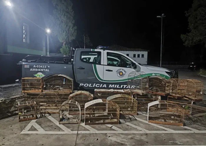 PM Ambiental Fecha Cativeiro com Aves Silvestres em Santa Branca