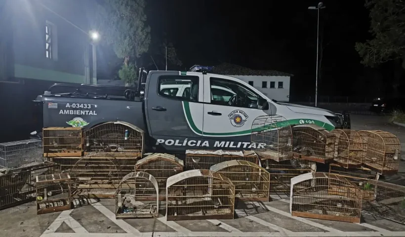 PM Ambiental Fecha Cativeiro com Aves Silvestres em Santa Branca