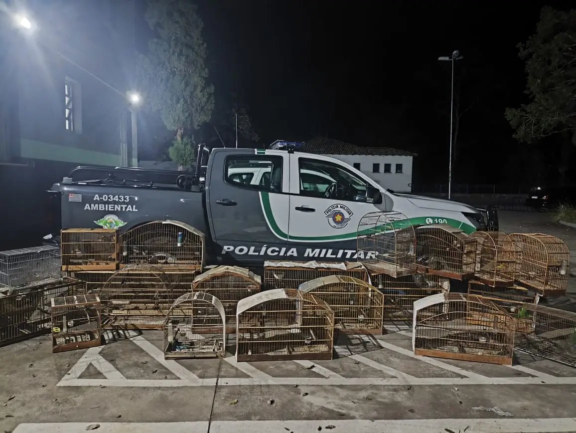 PM Ambiental Fecha Cativeiro com Aves Silvestres em Santa Branca