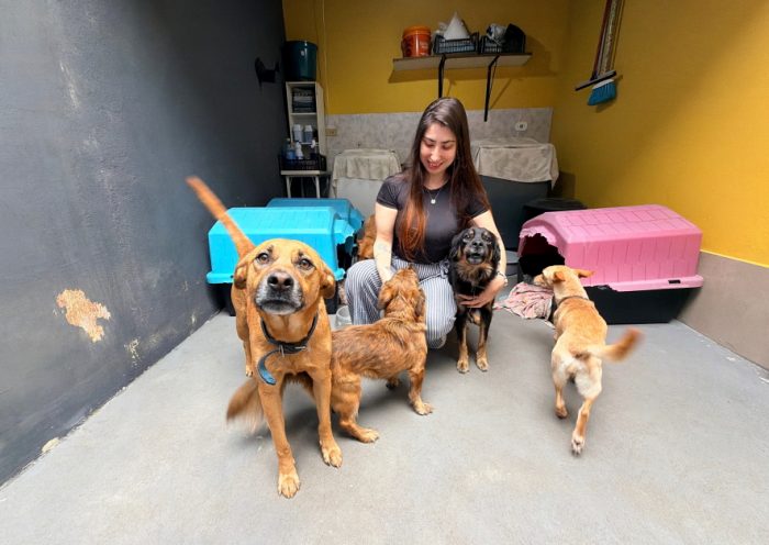 Meu Pet Feliz: SJC Abre 1000 Vagas para Castração Gratuita