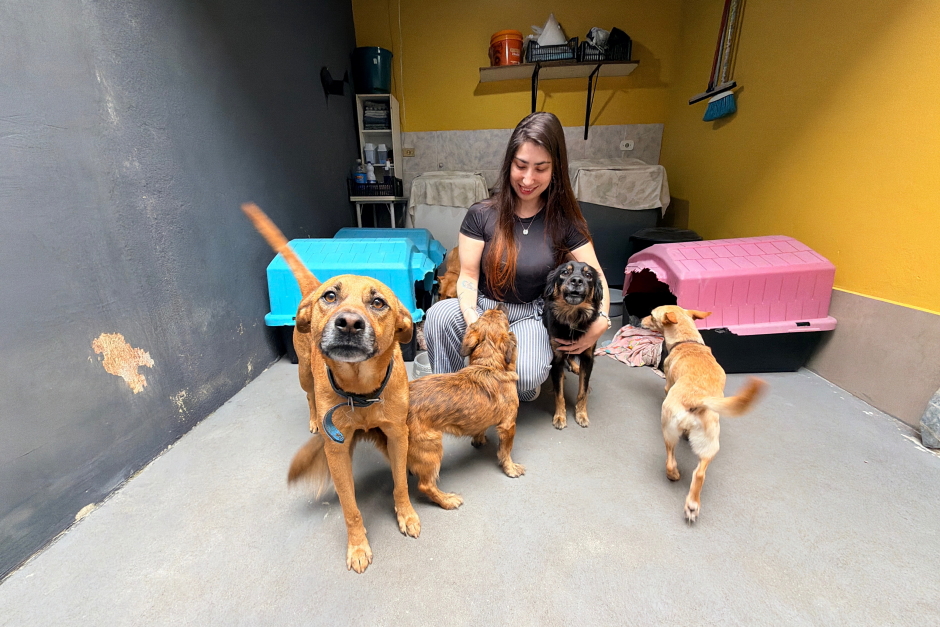 Meu Pet Feliz: SJC Abre 1000 Vagas para Castração Gratuita