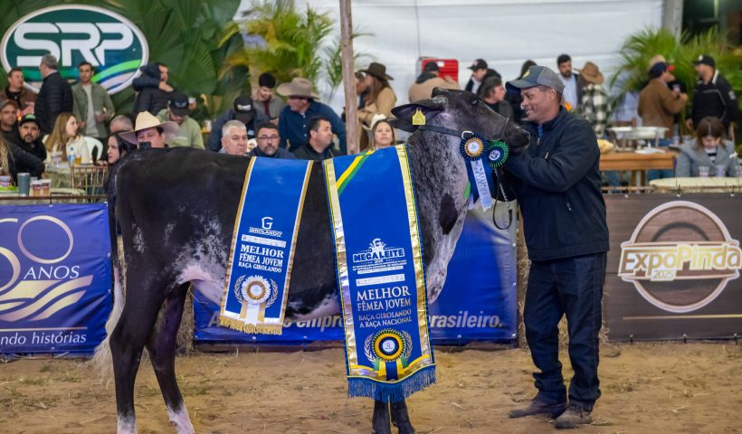 Sindicato Rural anuncia atrações da ExpoPinda 2026