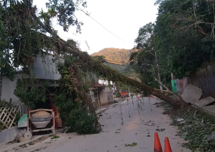 Vendaval em Ubatuba deixa 13 feridos e provoca queda de árvores