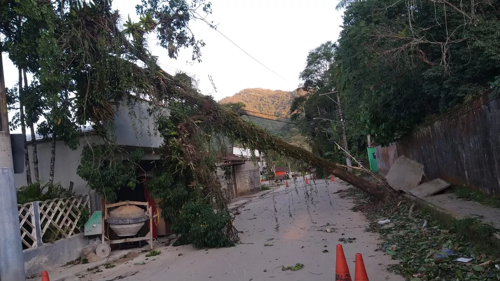 Vendaval em Ubatuba deixa 13 feridos e provoca queda de árvores