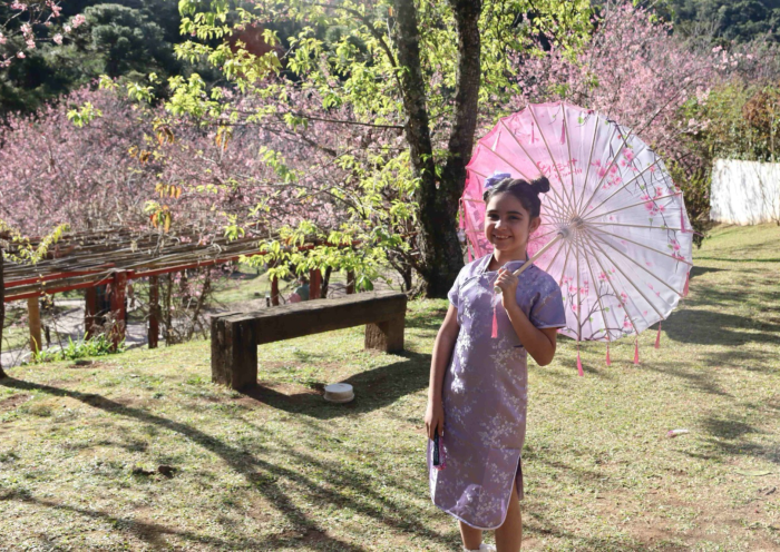 55ª Festa da Cerejeira em Flor traz imersão na cultura japonesa para Campos do Jordão