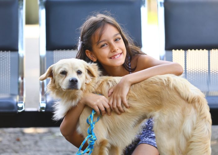 São José realiza 1ª feira itinerante de adoção de pets com vacinação gratuita
