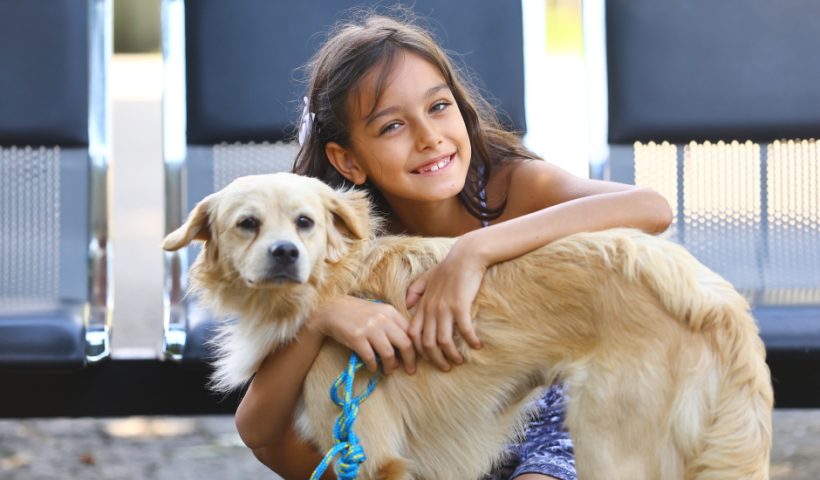 São José realiza 1ª feira itinerante de adoção de pets com vacinação gratuita