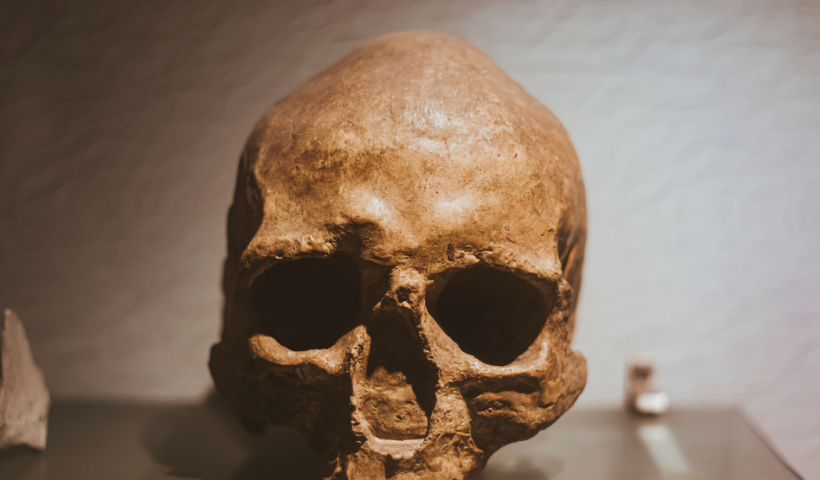 Exposição Sobre Evolução Humana é Destaque de Férias em Taubaté