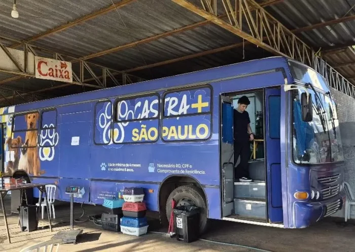 Mutirão de castração gratuita de pets em São José dos Campos
