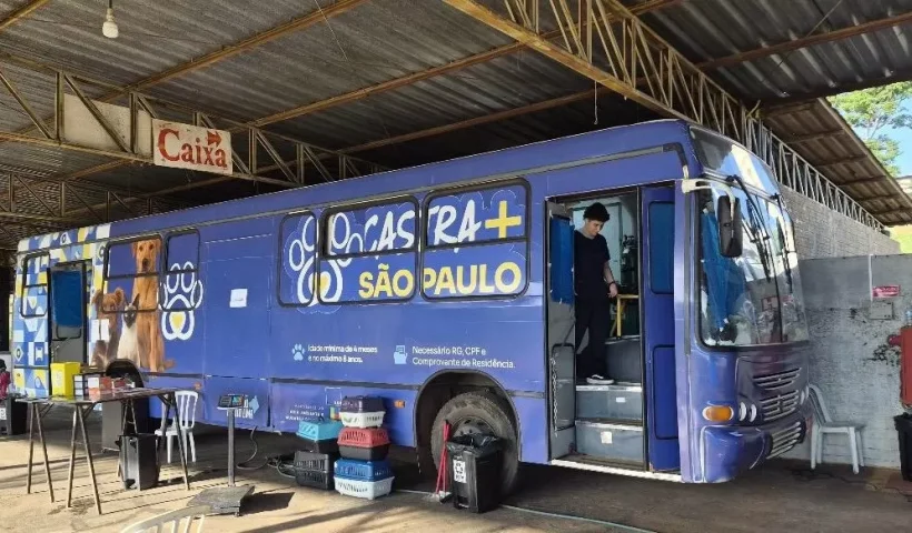 Mutirão de castração gratuita de pets em São José dos Campos