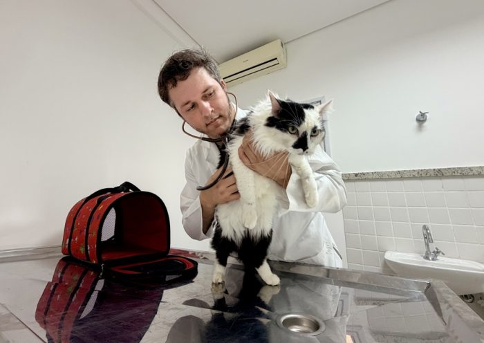 Hospital Veterinário de São José inicia vacinação de pets