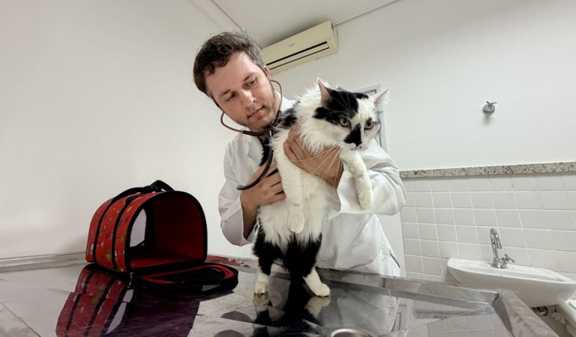 Hospital Veterinário de São José inicia vacinação de pets