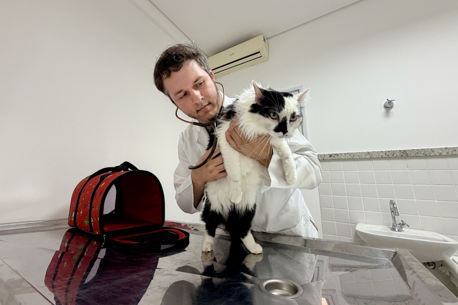 Hospital Veterinário de São José inicia vacinação de pets