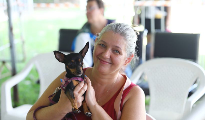 São José abre 1.000 vagas para castração gratuita de pets
