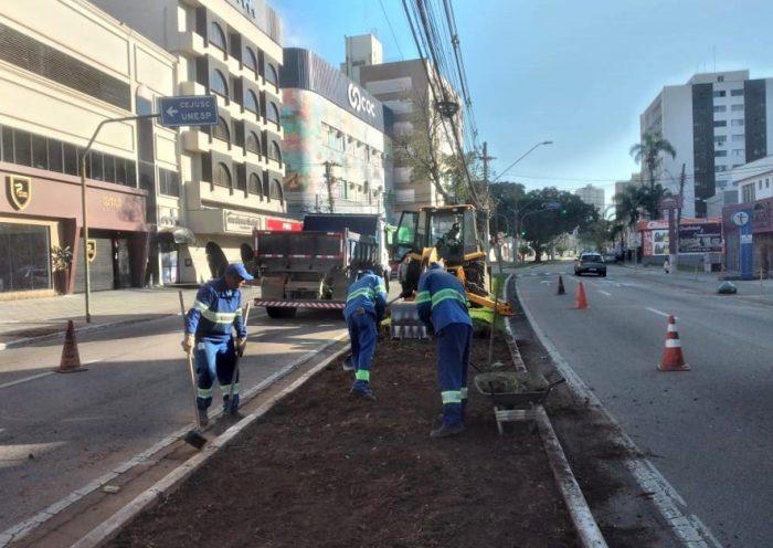 Obras revitalizam canteiro da Avenida Nelson D'Ávila em SJC